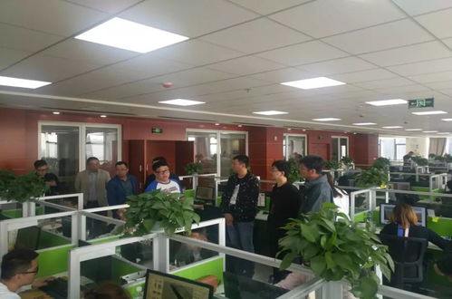 實時掌握項目脈搏 軟件外包服務(wù)的動態(tài)跟蹤與管理